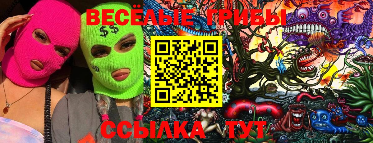 Псилоцибиновые грибы мицелий Богданович