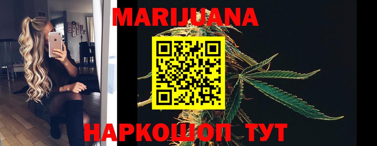 Шишки марихуана планчик  Вход с VPN  Богданович  Конопля Bruce Banner  Шишки марихуана тримм 